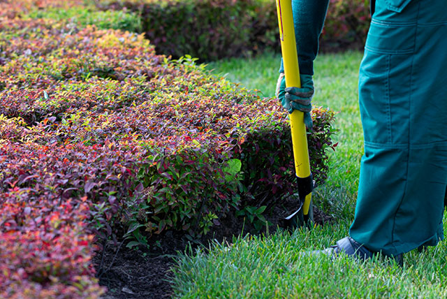 Landscaping services in greater Cleveland, Ohio